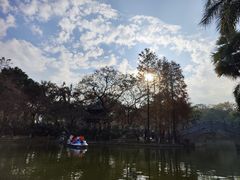 -金花茶公园