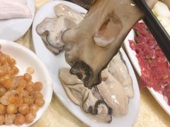 -濠轩阁特色生蚝火锅(水湾路店)