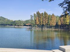 -西樵山风景名胜区-天湖公园