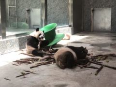 -西安秦岭野生动物园