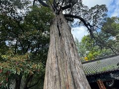 -青岛崂山太清宫