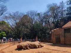 -昆明动物园