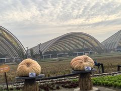 -中国天府农业博览园