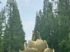 -东平国家森林公园