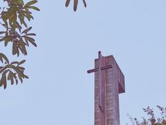 -美丽洲堂