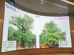 -漓江书院(三祺广场店)