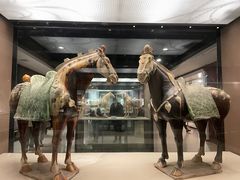 -西安大唐西市博物馆