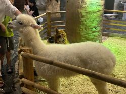 -Zoolung Zoolung动物主题公园(海信广场店)