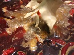 -一斗火锅·招财羊毛肚(北温泉九号店)