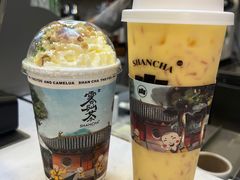 -雾与山茶(大禹城店)
