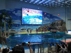 -福州罗源湾海洋世界旅游区