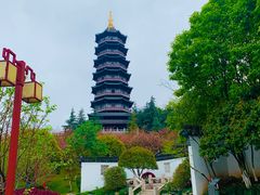 -重庆园博园