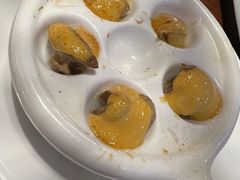 -黑松白鹿(新活馆店)