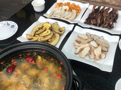 -蘑统田下·野生菌火锅