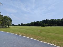 -宜兴龙背山森林公园