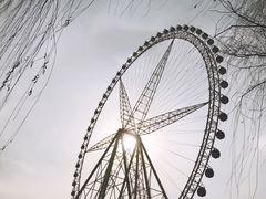 -祥源·阜阳生态乐园