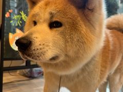-YCHL Studios健身工作室(市二宫店)