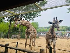 -大连森林动物园