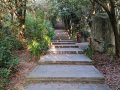 -罗浮山-南楼寺