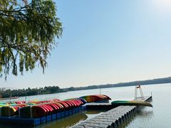 -上海海湾国家森林公园