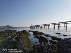 -黑石礁公园
