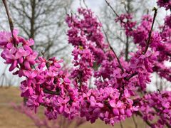 -广富林郊野公园