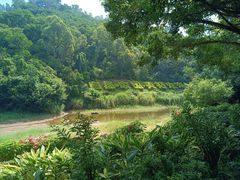 -深圳国际园林花卉博览园