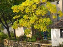 -长白岛森林公园