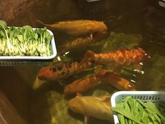 -石岐佬中山菜馆(张溪店)