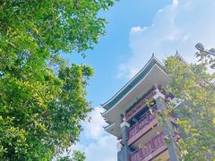 -王借岗森林公园