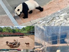 -柳州市动物园