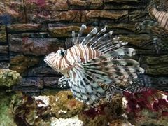 -北戴河圣蓝海洋公园