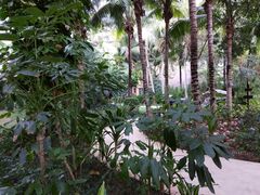 -三亚湾海居铂尔曼度假酒店