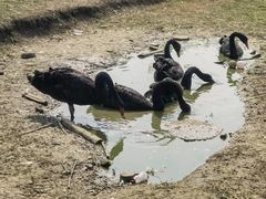 -白鹭湾湿地公园
