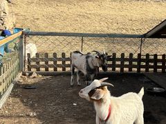 -潭柘厚院(桑峪村店)