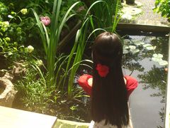 -谷咖啡·鲜花绿植花园餐厅