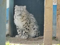 -青藏高原野生动物园