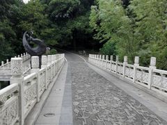 -东湖落雁景区