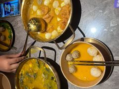 -Darling Queen·Mini·Live·House