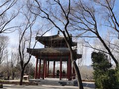 -北坞公园
