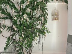 -左悦·艾灸调理·推拿按摩·精油SPA(卓悦汇店)