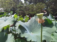 -龚家花园农家乐休闲别墅