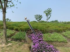 -同里国家湿地公园