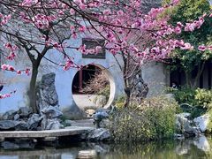 -艺圃