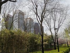 -唐城墙遗址公园