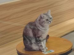 -翠花老菜饺子馆(七宝店)