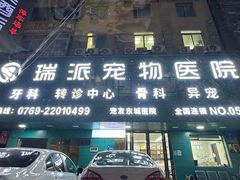 -东莞宠友24H宠物中心医院·转诊夜诊·异宠(新河北路院)