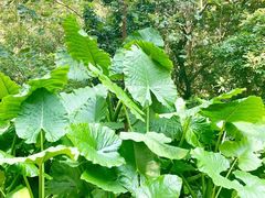 -福建鲤鱼洲酒店