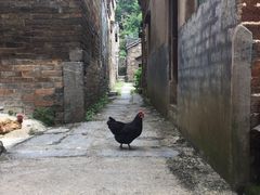 -板梁古村