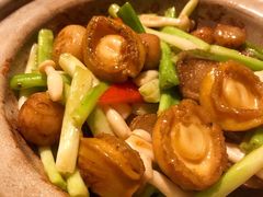 红葱头野菌啫活鲍-利苑酒家(宜安广场店)